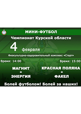 Чемпионат Курской области по мини-футболу