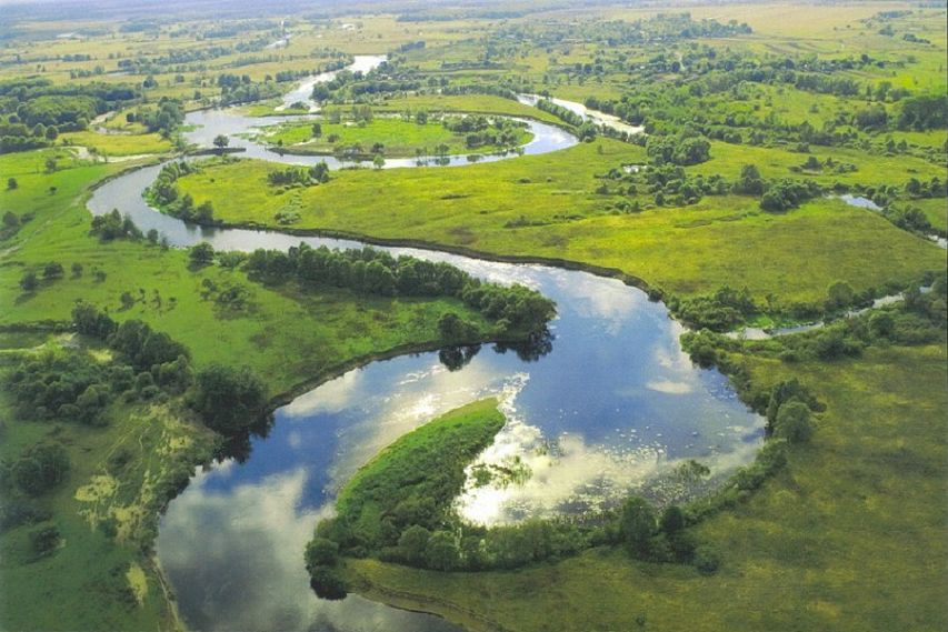 Курский край вошёл в Топ-10 лучших экосубьектов России