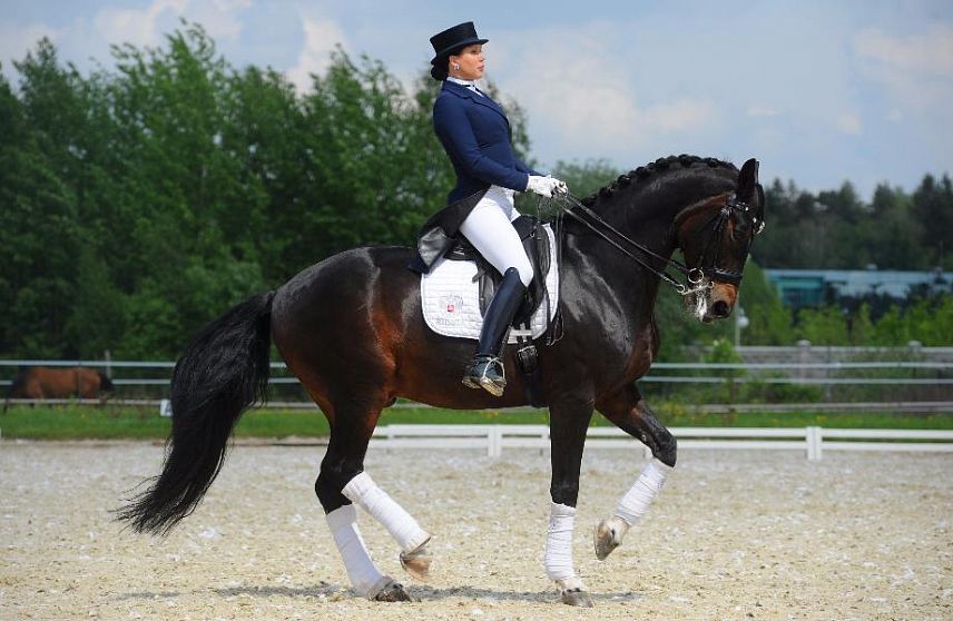 "Курские кони еще будут побеждать на Олимпийских турнирах"