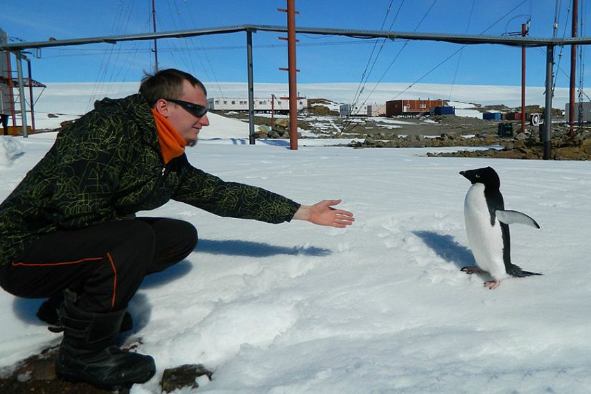 На юг, в Антарктиду! Полярник Дмитрий Емельянов делится с читателями Zhel.city своими путевыми заметками
