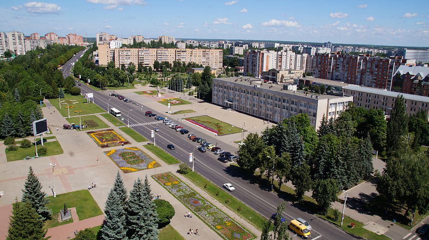 В Железногорске с улицы Малая Ленина пересадят деревья, чтобы расширить дорогу