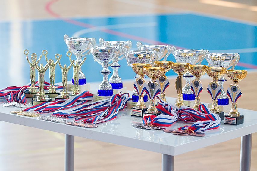 В 2016 году куряне завоевали 85 медалей на престижных национальных и международных турнирах