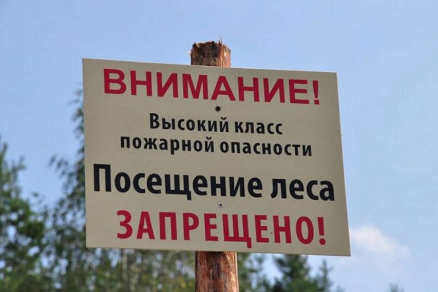 МЧС: в Железногорском районе установился второй класс пожарной опасности