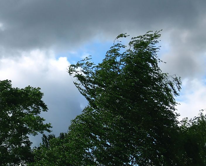 Сильный ветер и дождь: синоптики прогнозируют похолодание в Железногорске