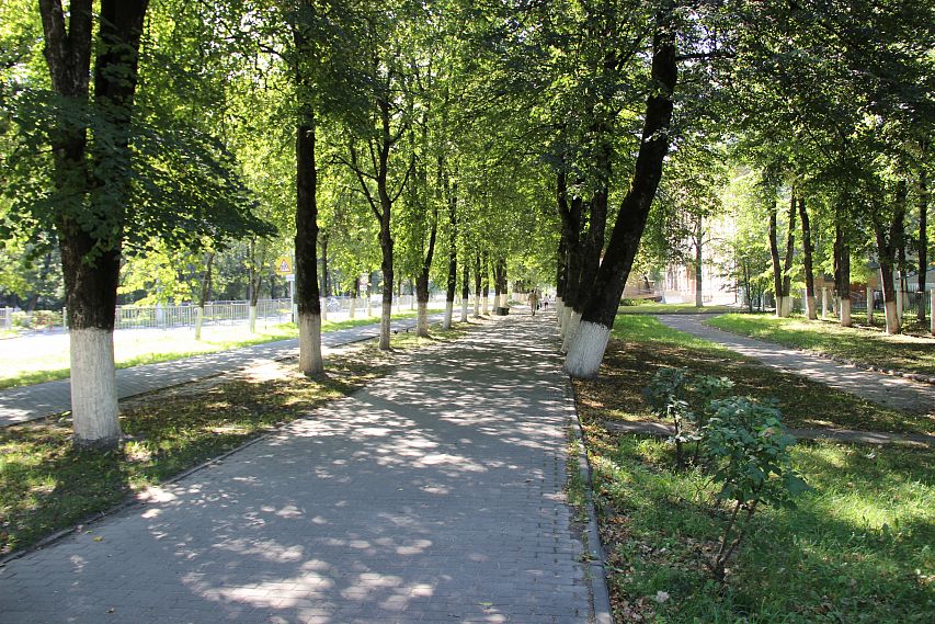 В Железногорске благоустроят пять общественных территорий