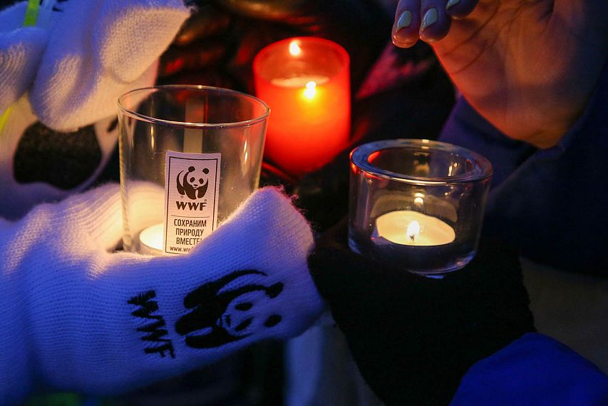 Курск оказался в тройке лидеров по проведению акции «Час Земли»