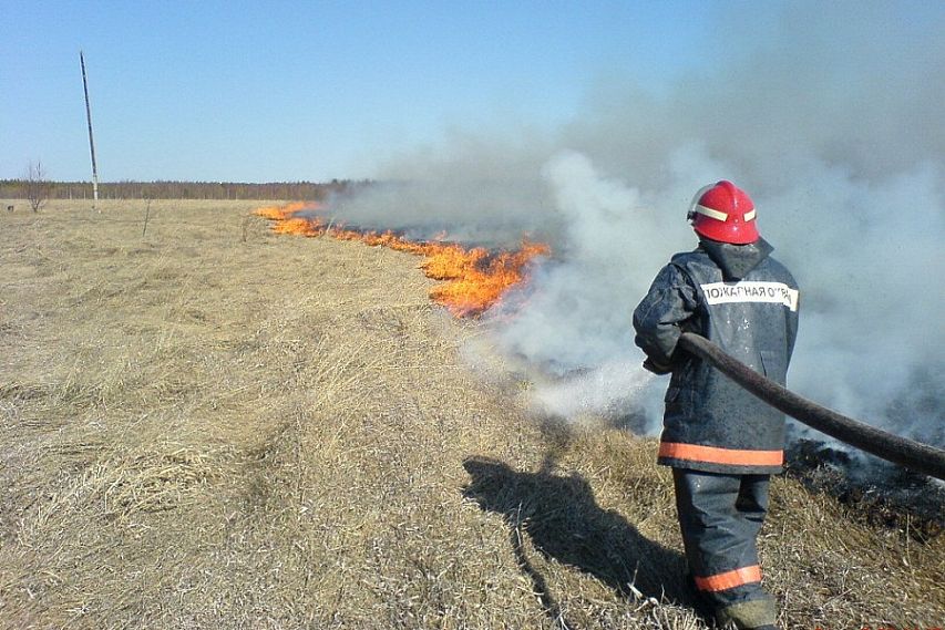 В Курскую область вернулось тепло... и пожары
