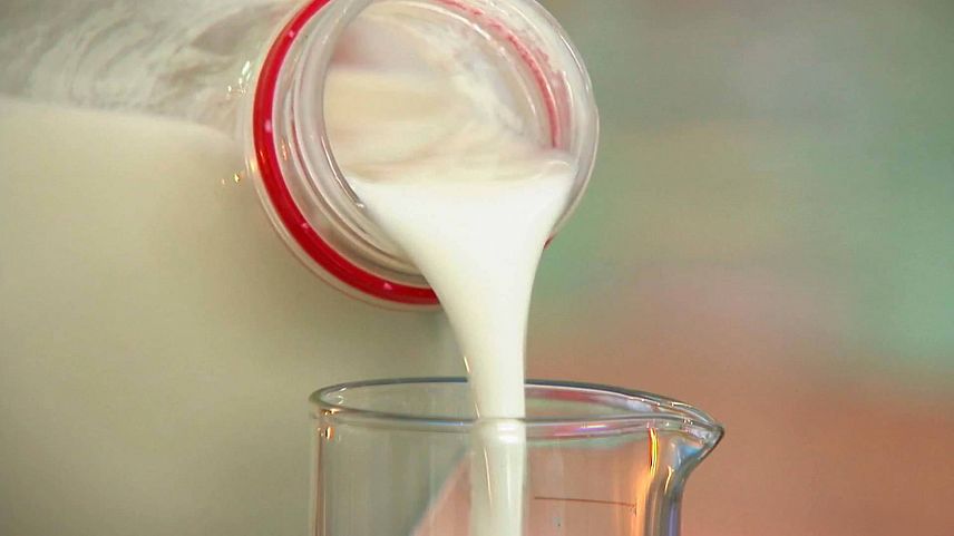В Курской области обнаружили фальсифицированные молочные продукты