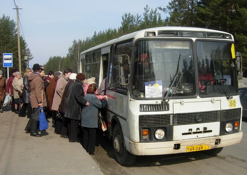 В Железногорске пустили автобусы на кладбища Большой Дуб и Золотой