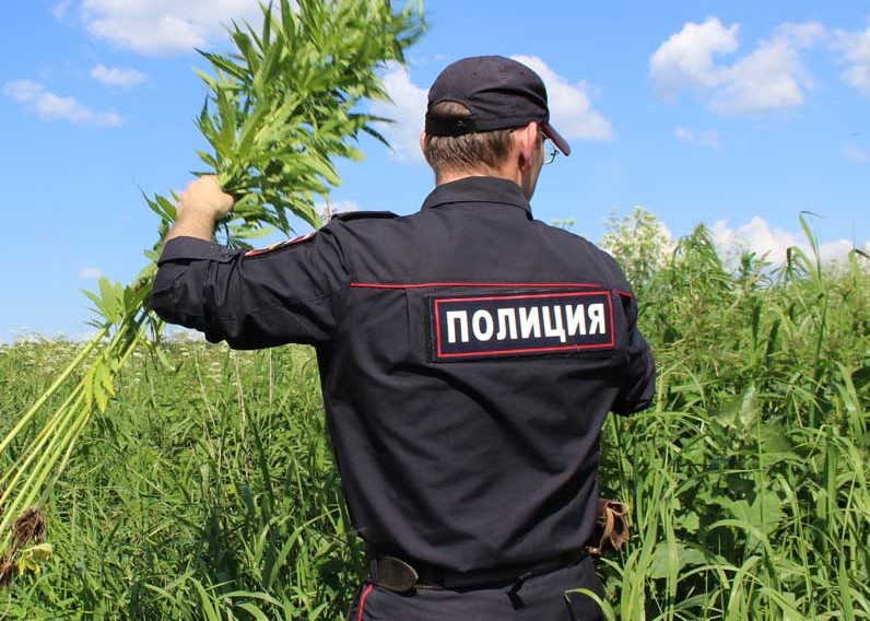 В Курской области стартовал месячник, посвященный Международному дню борьбы с наркоманией