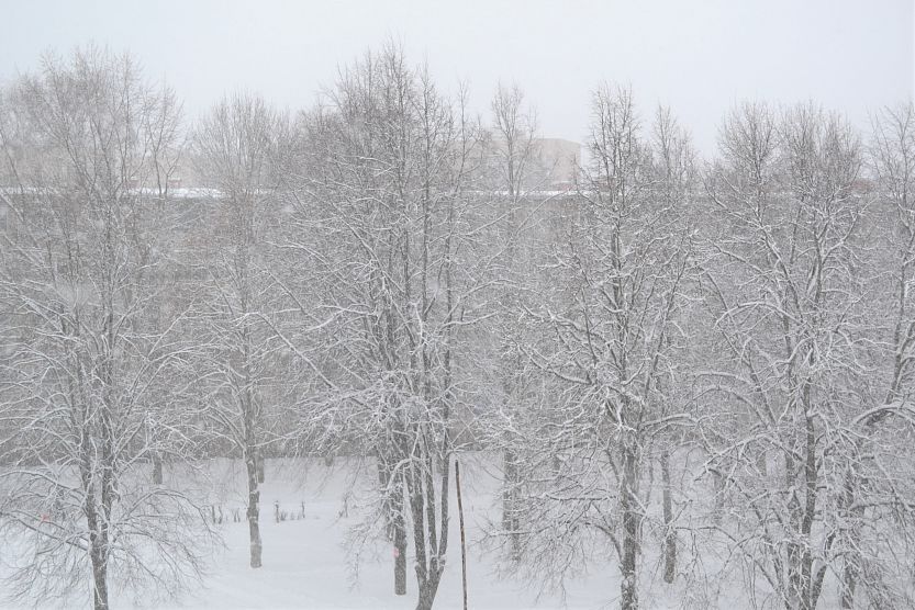 Последний день января в Железногорске будет тёплым и снежным