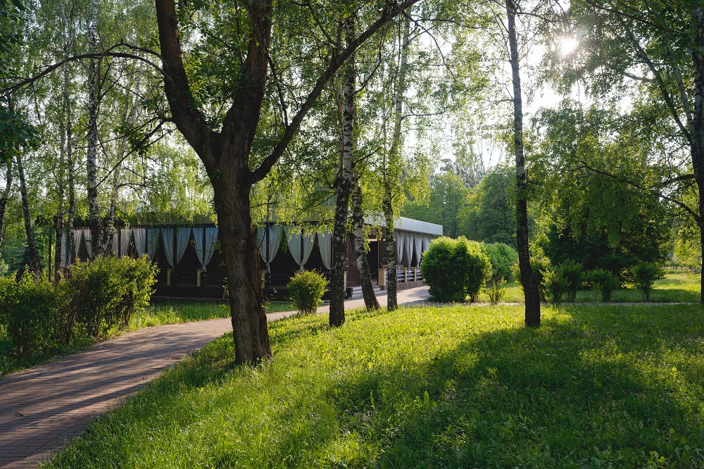 Парк имени Никитина в Железногорске внесли в Единый государственный реестр недвижимости