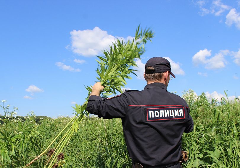 В Курской области полицейские изъяли из незаконного оборота более 9 килограммов наркотиков