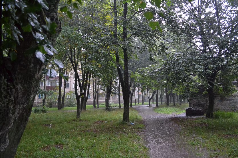 Ветрено и дожди: в Железногорске снова испортится погода