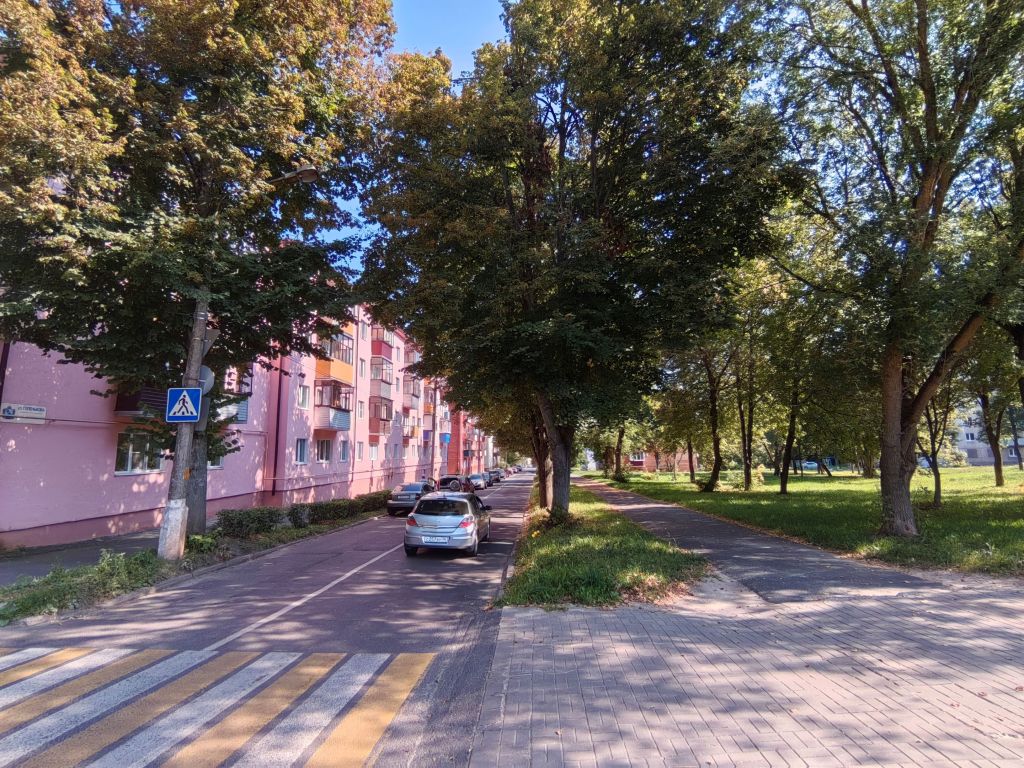 Улицы победителей. Лёня Голеньков