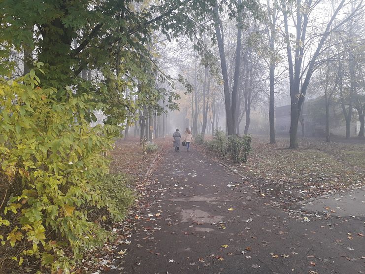 Врач рассказал об опасности тумана