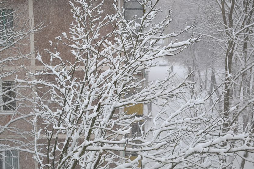 В понедельник синоптики обещают железногорцам сильный туман