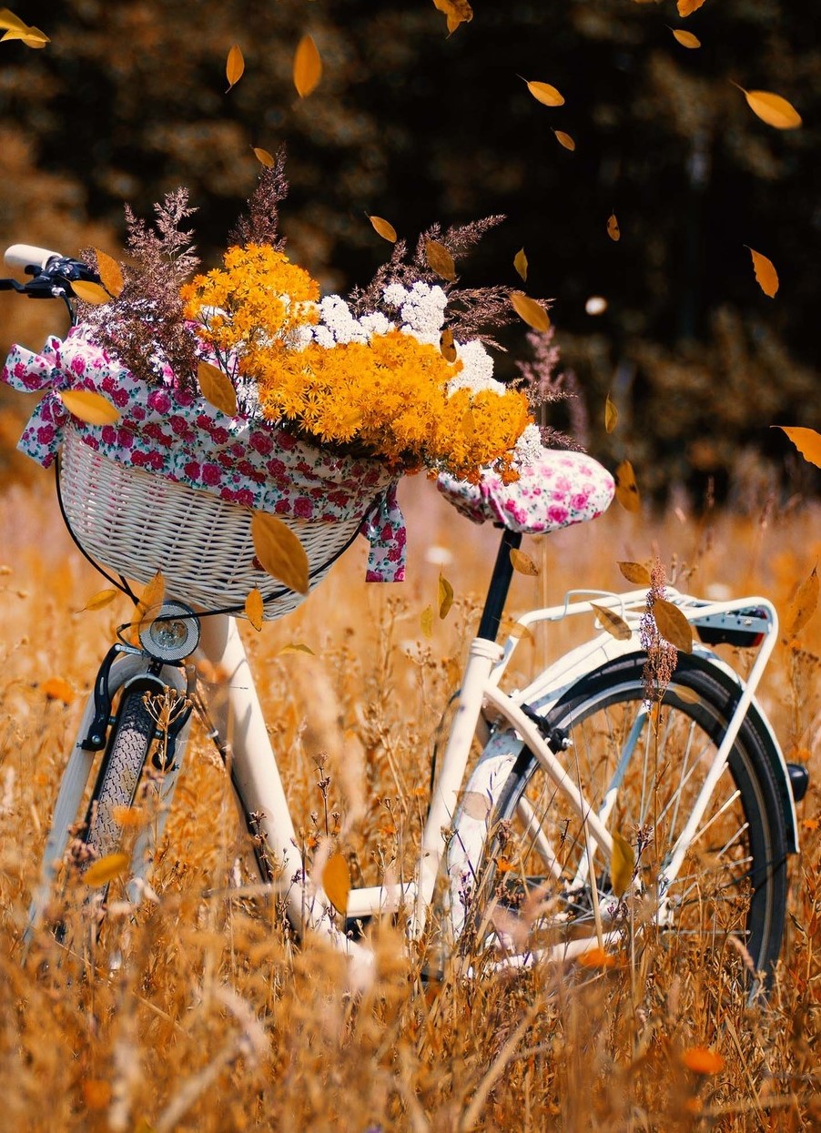 Осенняя велопрогулка