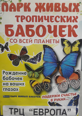 Парк живых бабочек