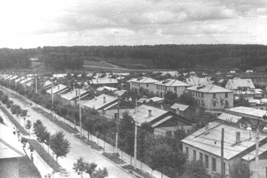 Октябрьская улица, 1959