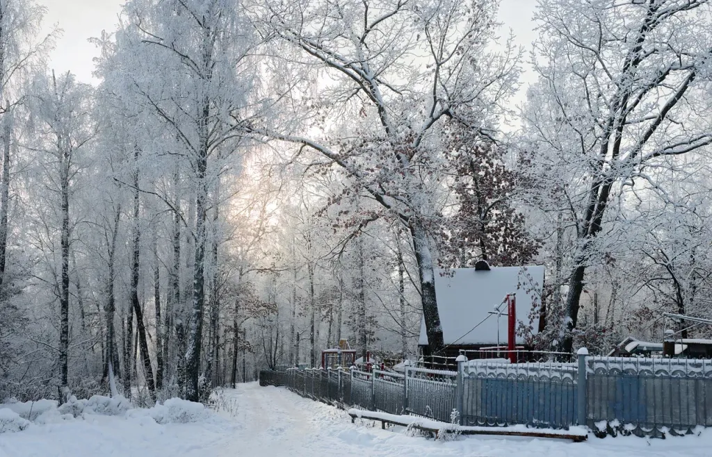 -Сведения о камере-модель- - Парк Никитина 3.jpg