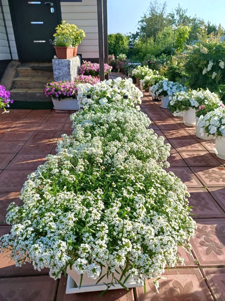 Изображение WhatsApp 2025-08-07 в 17.47.12_ffa53498.jpg