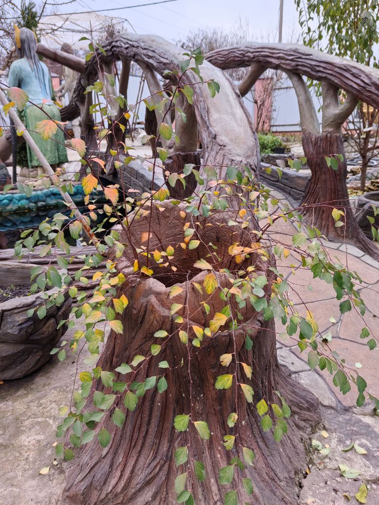 галерея 1 (3).jpg