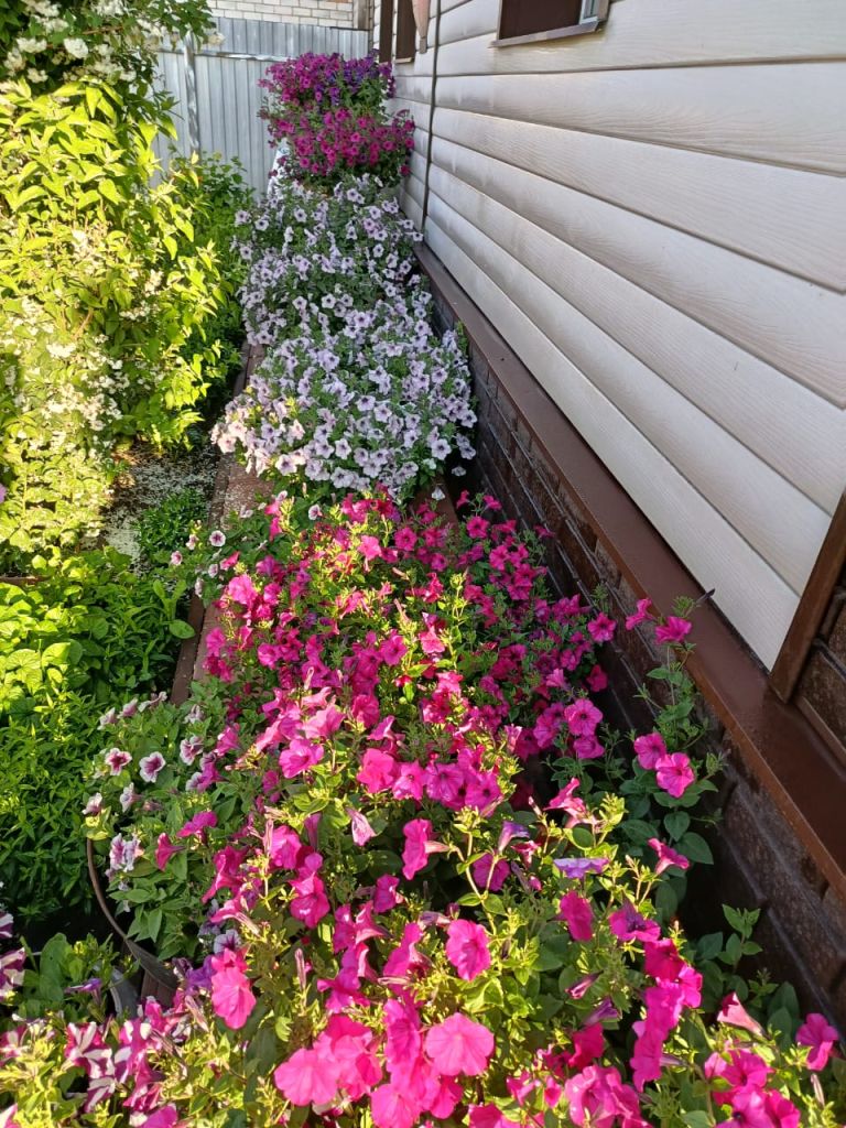 Изображение WhatsApp 2025-08-07 в 17.47.12_5267abb3.jpg