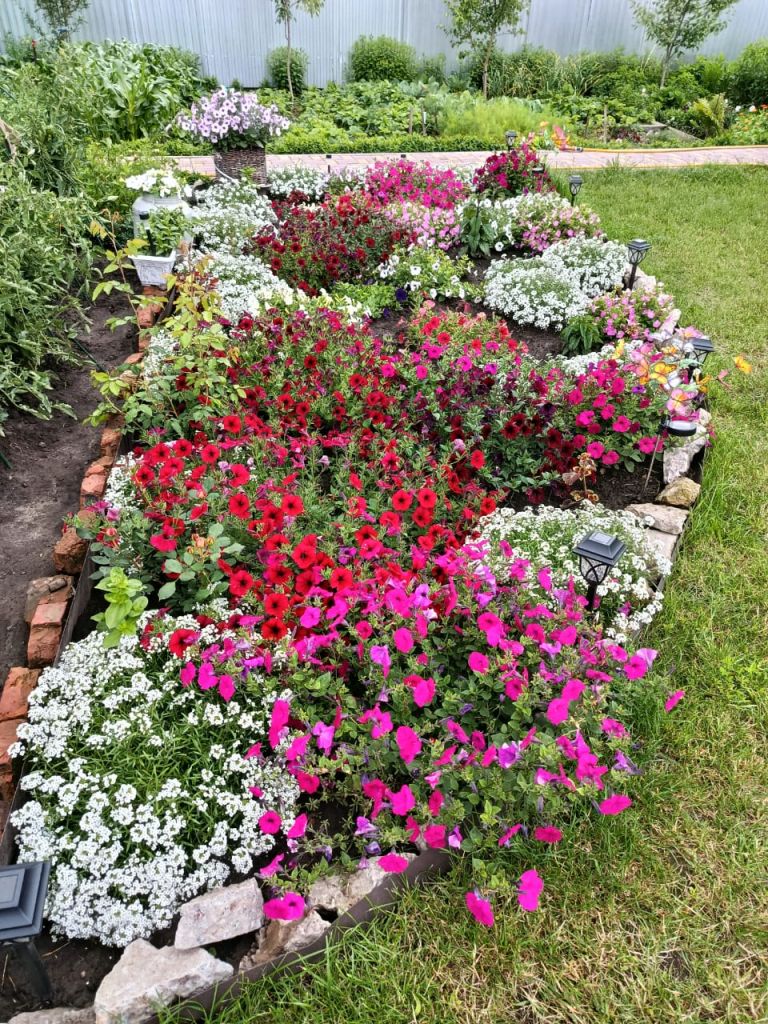 Изображение WhatsApp 2025-08-07 в 17.47.11_9b09c73b.jpg