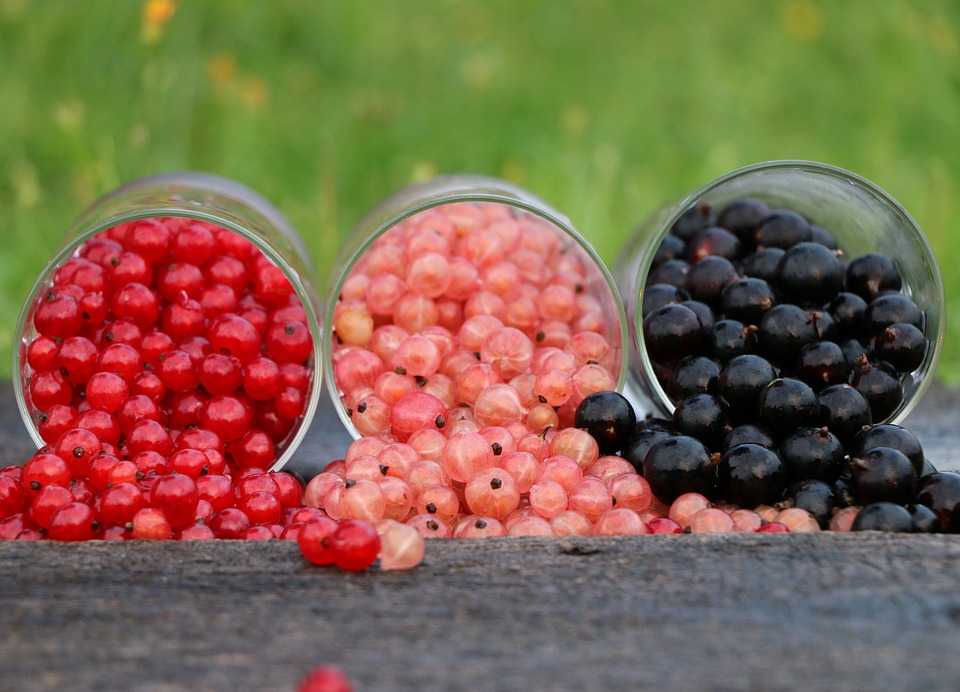 currant-1560383_960_720.jpg