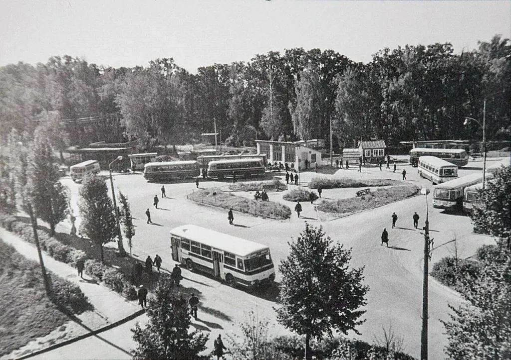 Кольцо с автостанцией. Левый ближний въезд - с улицыГоленькова.jpg