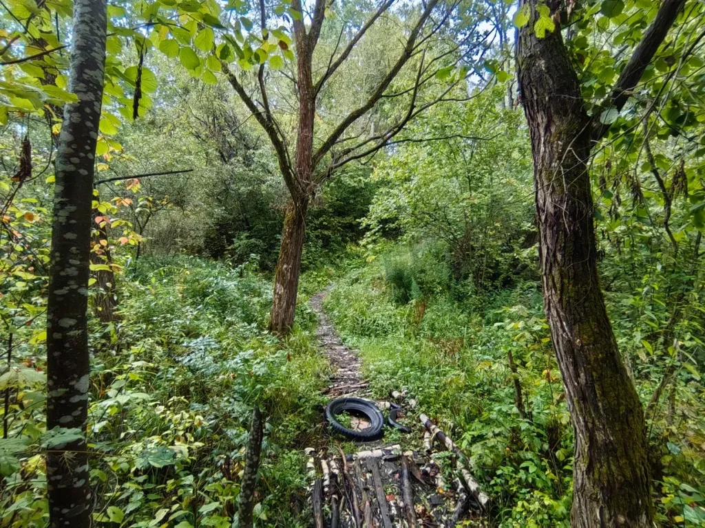 Дорога из Заречного в школу (3).jpg