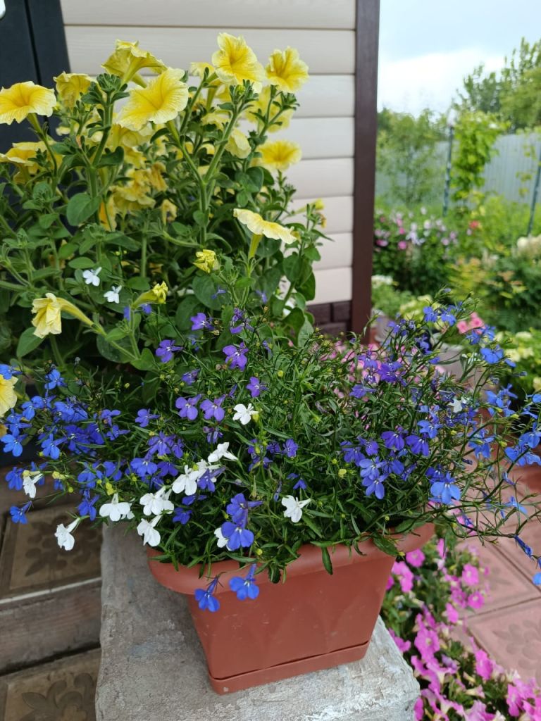 Изображение WhatsApp 2025-08-07 в 17.47.12_4c60aa95.jpg