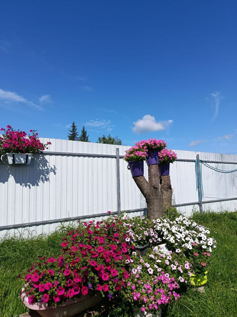 Изображение WhatsApp 2025-08-07 в 17.47.11_60b94c84.jpg