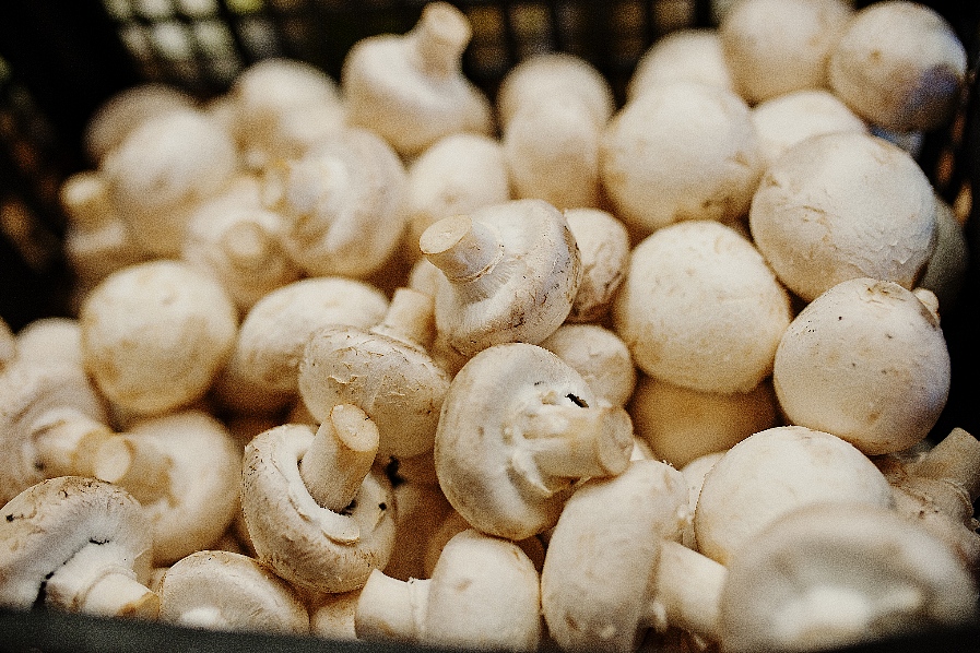 champignon-mushrooms-on-the-shelf-of-a-supermarket-or-grocery-store.jpg