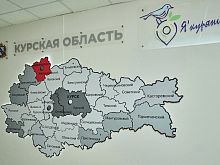 В Курской области за девять месяцев ликвидировали 942 организации