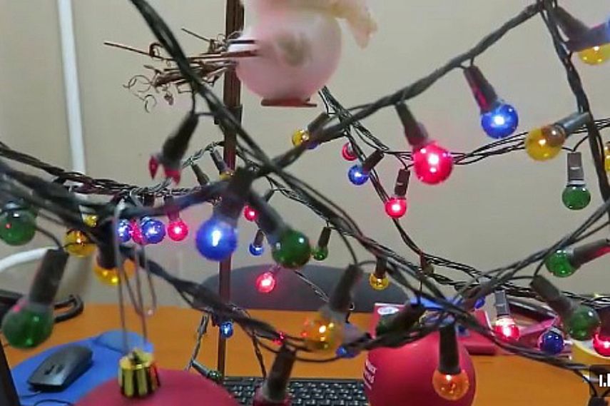 Группа «ВКонтакте» Михайловского ГОКа объявила новогодний видеоконкурс 