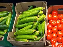 В Курской области в феврале большего всего подорожали огурцы – на 22, 6%