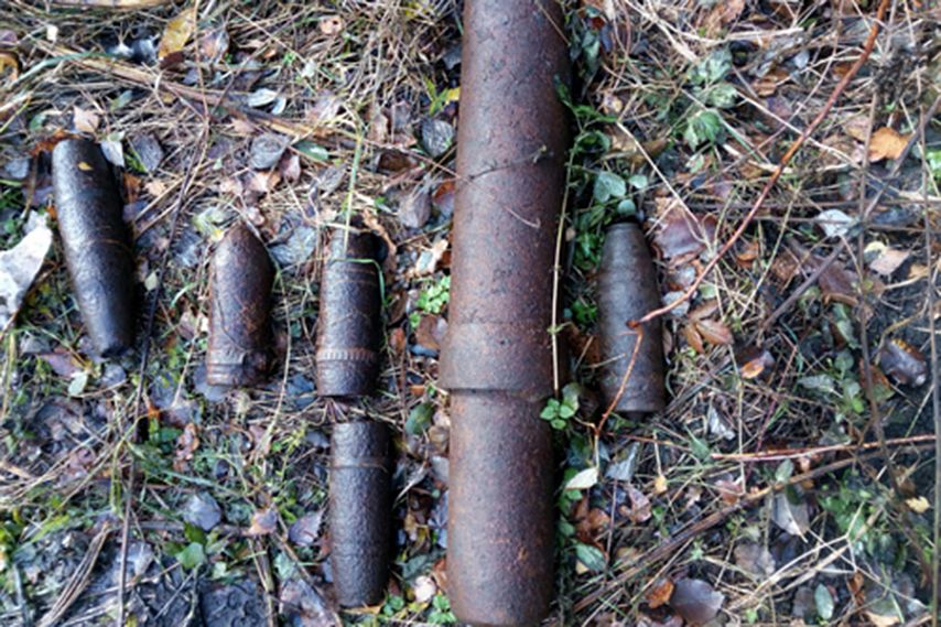 В Железногорском районе обнаружили боеприпасы 