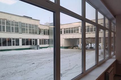 Губернатор Александр Хинштейн поручил временно перевести школы и детские сады на дистант