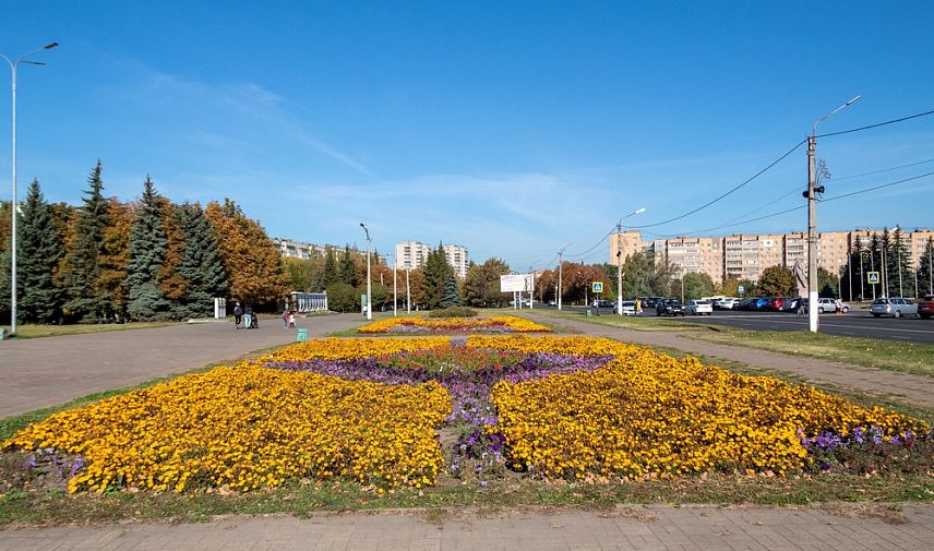 На клумбах Железногорска высадят 115 тысяч цветов