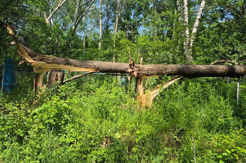 На железногорском кладбище в 10-м микрорайоне состоится общегородской субботник