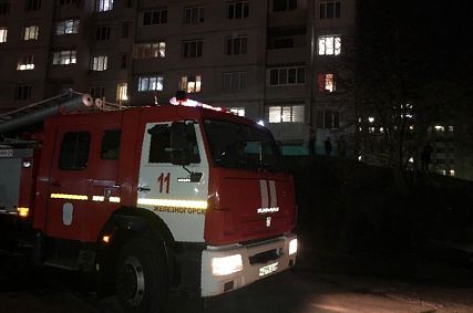 В Железногорске при пожаре спасли 10 человек