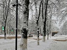 В Железногорске с 1 января увеличится стоимость проезда в муниципальном общественном транспорте