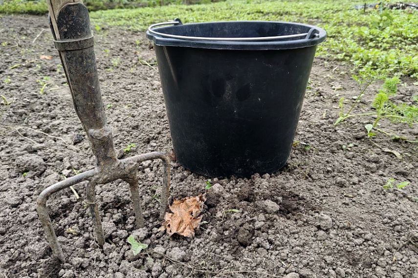 Железногорка ударила коллегу вилами по голове