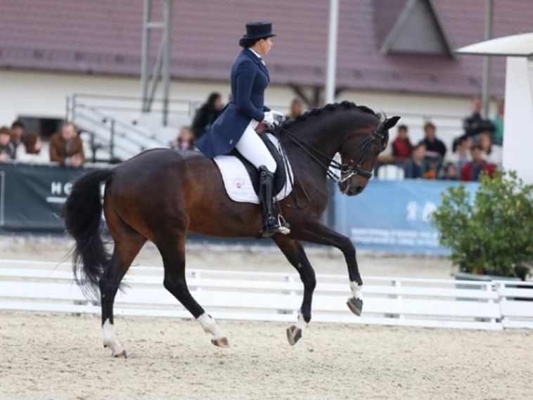Курские кони будут сражаться за победу россиян на Олимпиаде в Рио