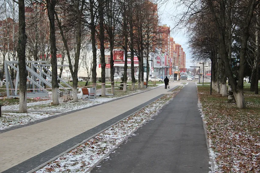 Железногорские депутаты попросили разъяснений о проекте застройки в лесном массиве