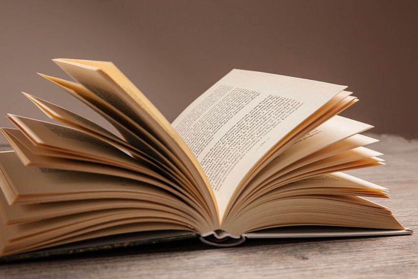 «Есть у человека то, что не подчиняется большинству, – это его совесть». Читаем вместе роман Харпер Ли