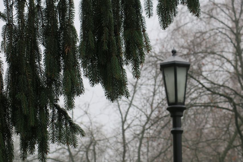В Железногорск идут туман, гололёд и морозы 