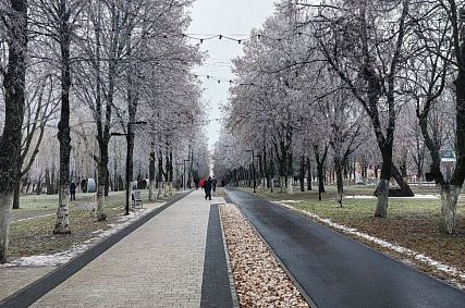 Переезд из детсада, возвращение в школу и ёлка на площади: глава Железногорска ответил на вопросы горожан